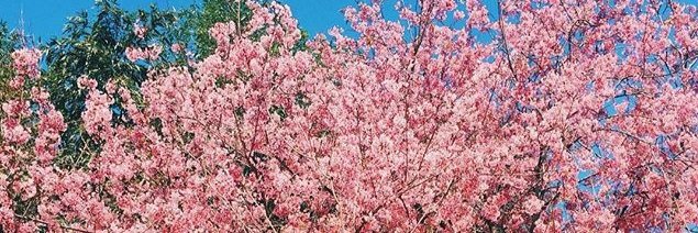 marivargasmm's profile banner image