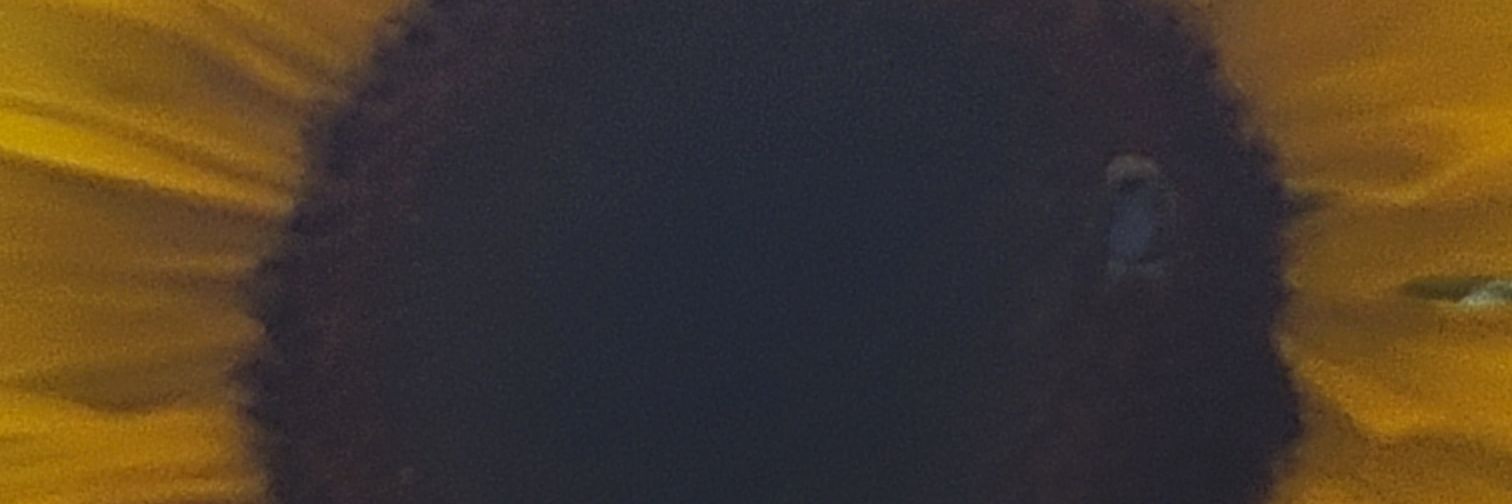 Rebekah G banner