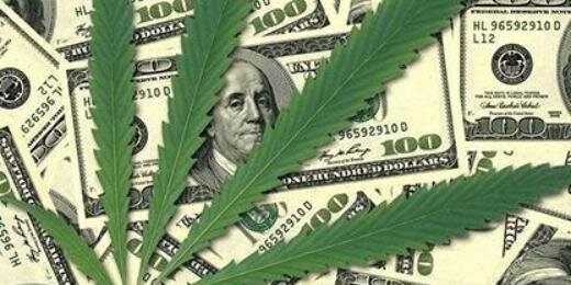 MarijuanaStock_'s profile banner image