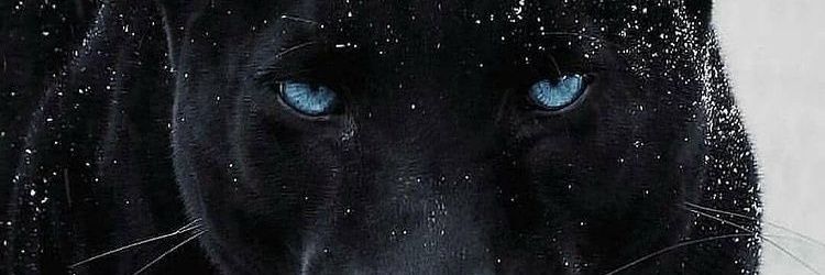 emrekorogluu1's profile banner image