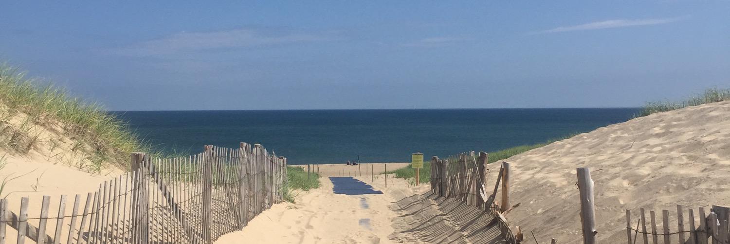 Prof. Lynne M Boddy banner