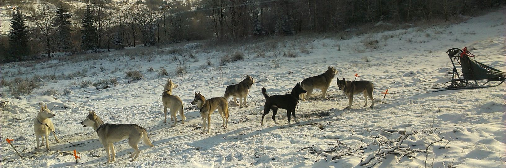 DomanskaMonika's profile banner image