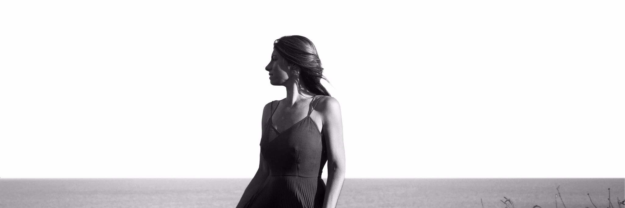 lauramuccini's profile banner image