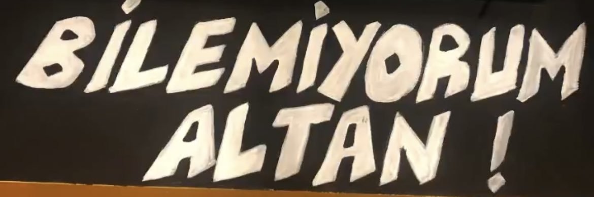altanergin's profile banner image