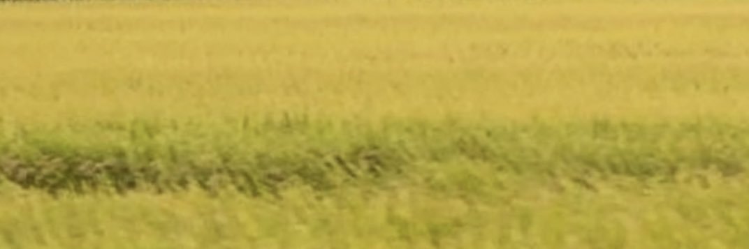 samafter9's profile banner image
