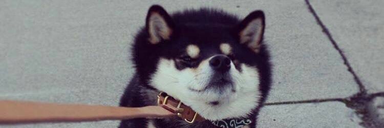 SimoneMathias_'s profile banner image
