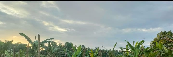 IiSaidin's profile banner image