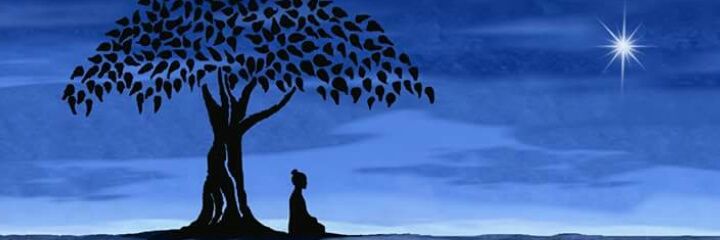 pawartweet's profile banner image