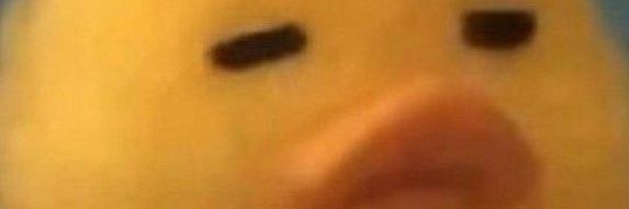 ginngin10's profile banner image