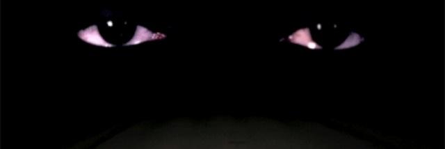 HevyDran56's profile banner image