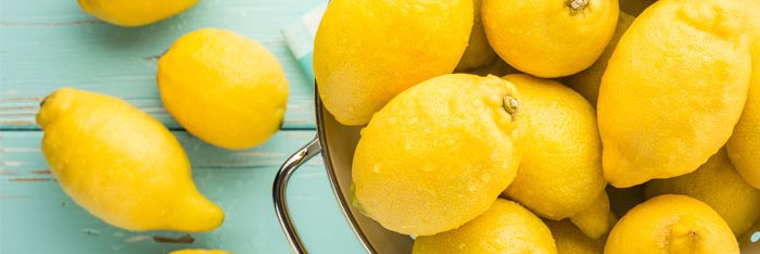 Nando Rodriguez banner