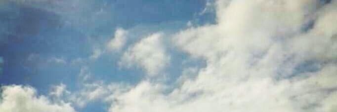 MichelleMPaz's profile banner image
