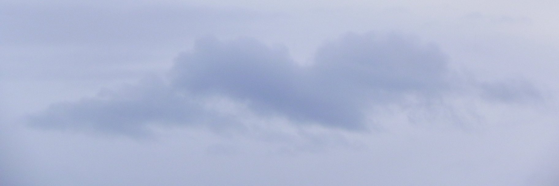 Willy-Peter Schaub 🇨🇭🇿🇦 banner