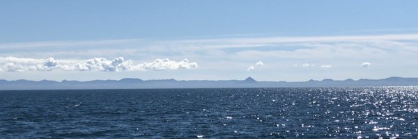 BETH_PWLL Profile Banner