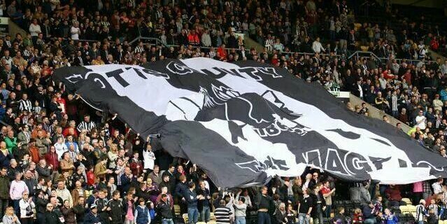 _tb95's profile banner image