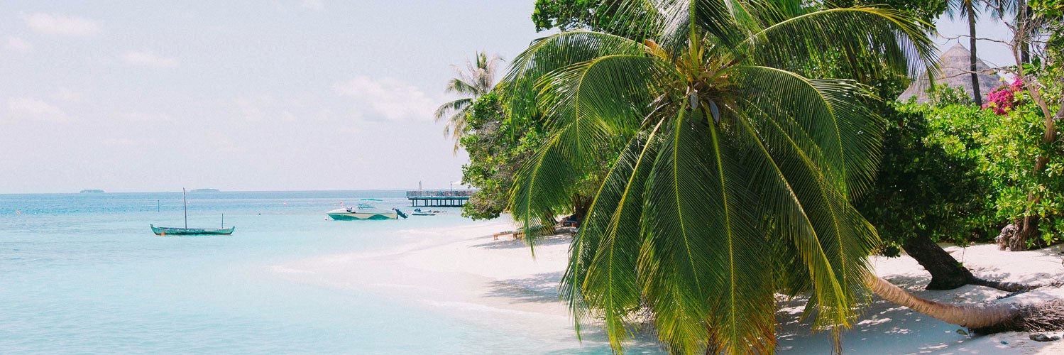 letsgomaldives's profile banner image
