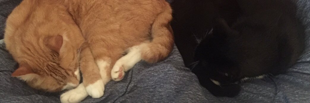 MichaelOates1's profile banner image