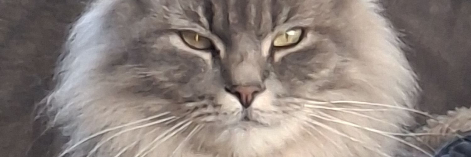 fraggle78's profile banner image