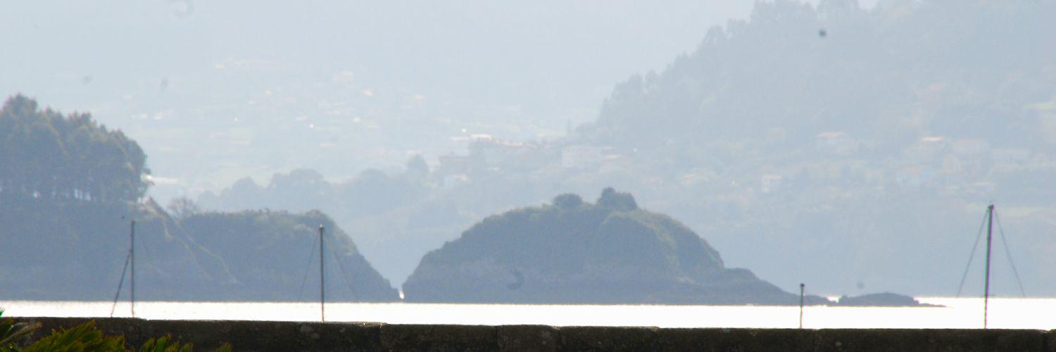genarotaboada's profile banner image