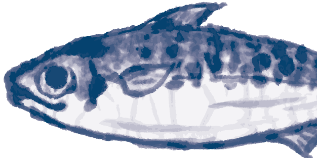SabaSaba_t1's profile banner image