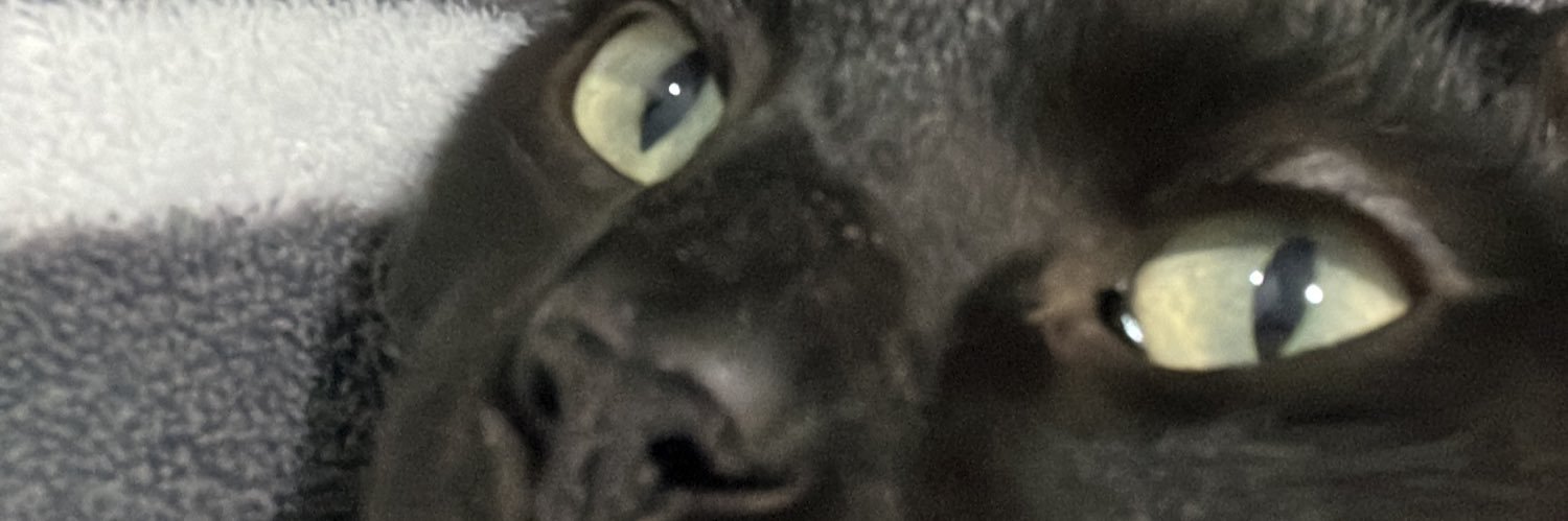 robertabeux's profile banner image