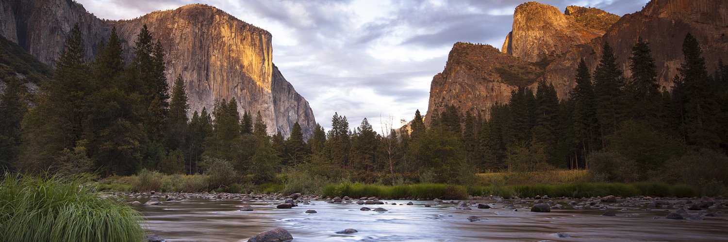 rtoddbennett's profile banner image