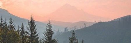 natrobcox's profile banner image