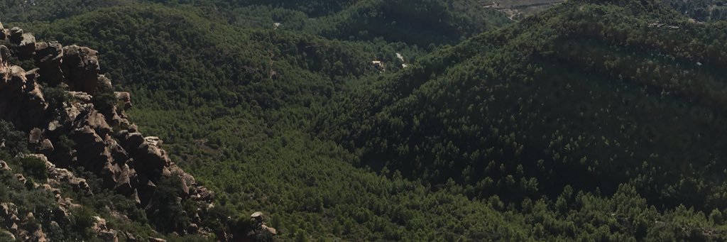 Omar Blanco-Arroyo banner