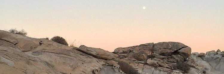 earthyneon's profile banner image