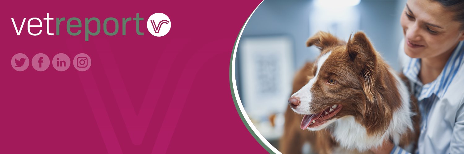 Vet Report banner