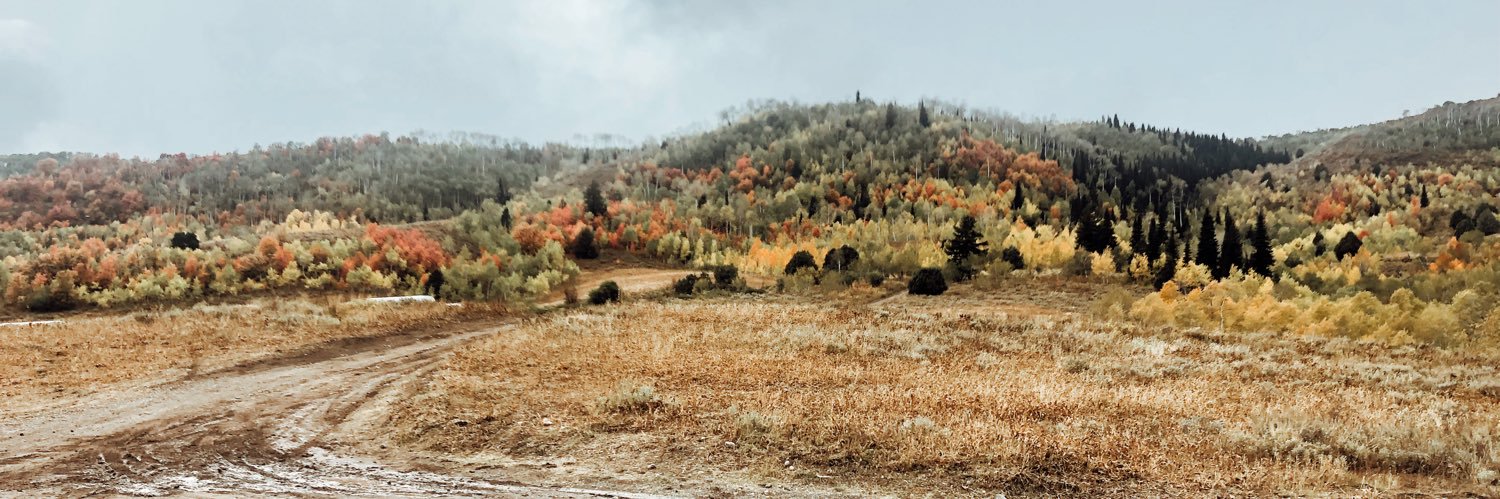 ryliebuttars's profile banner image