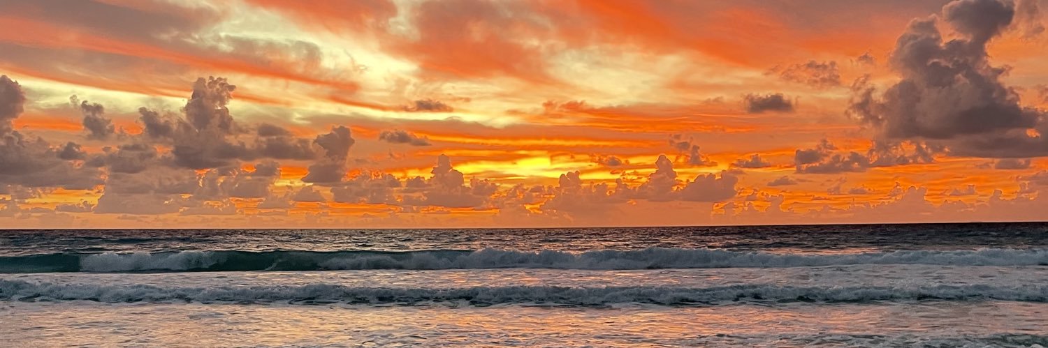 soyD3m's profile banner image