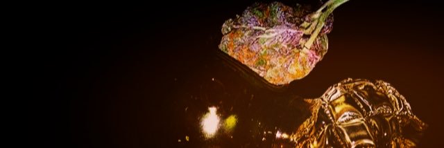 BrianRockk's profile banner image