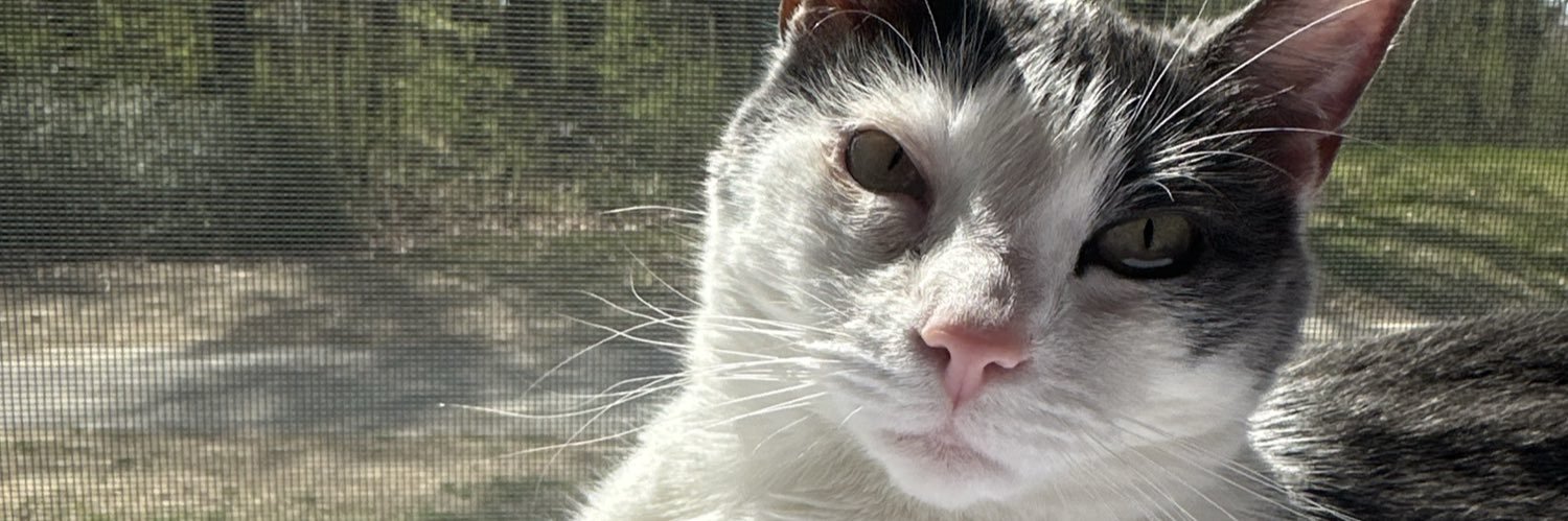 Libby1613's profile banner image