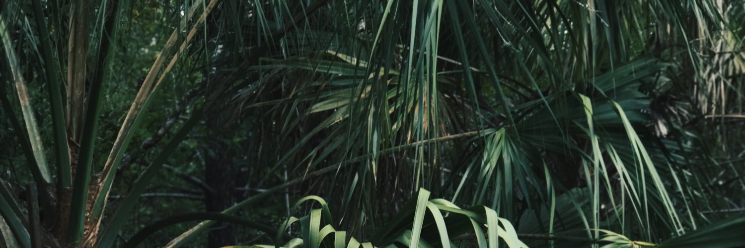 pafleming88's profile banner image