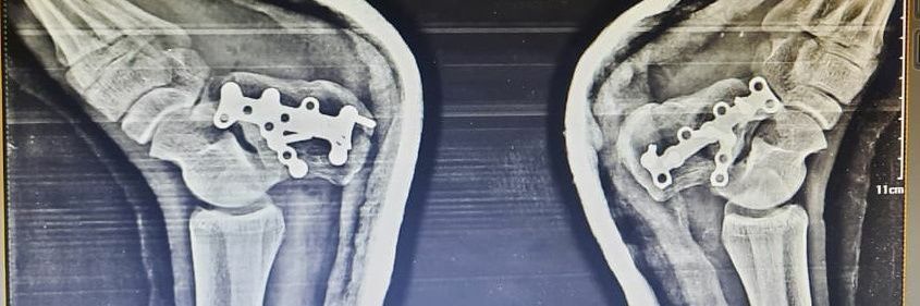 rehmansurgeon's profile banner image