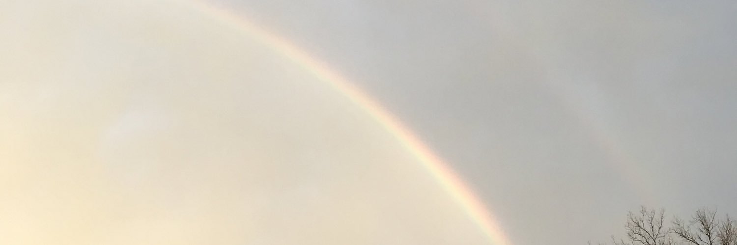 rogmiller99's profile banner image