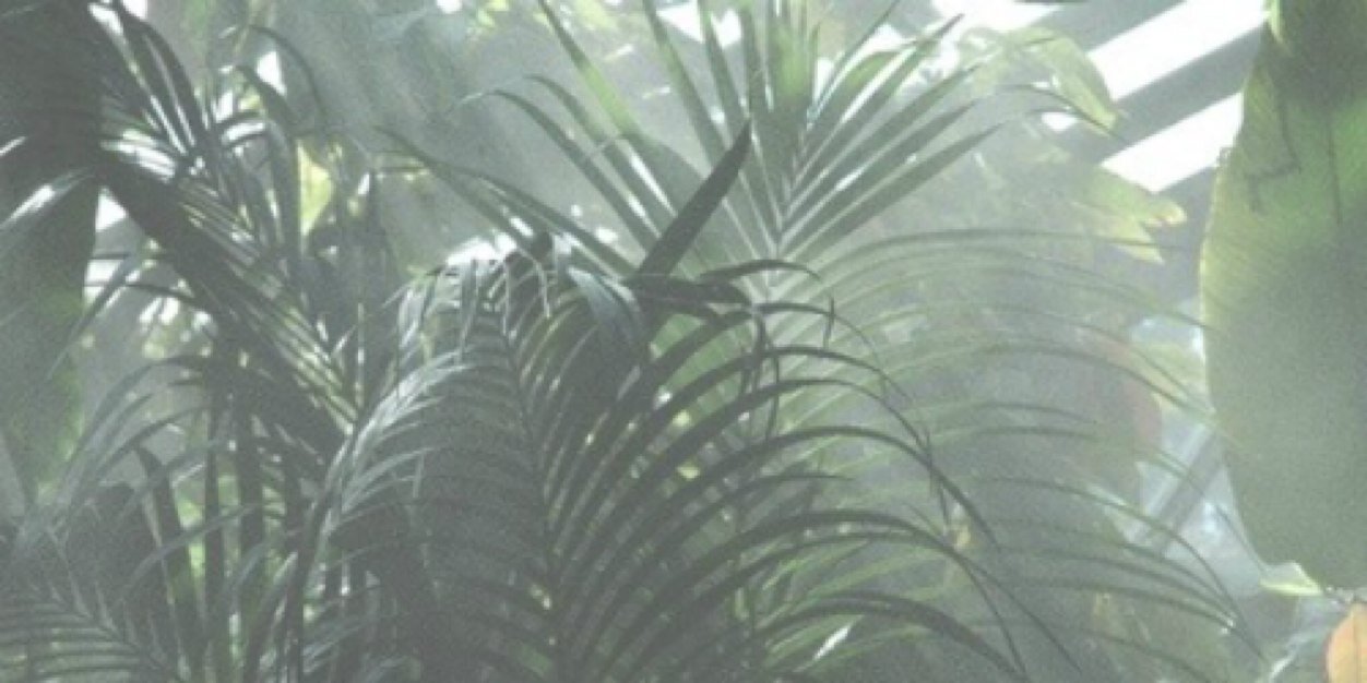 tristanRPGUTD's profile banner image