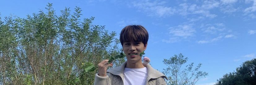 94tael's profile banner image