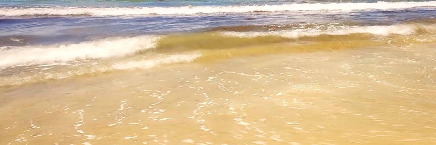 sheriyoung's profile banner image