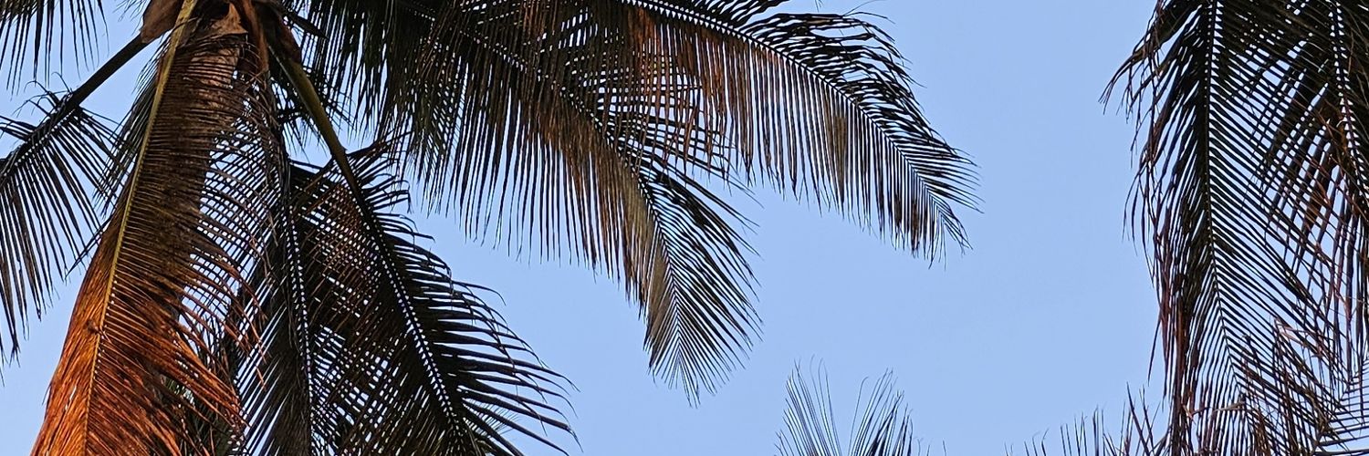 shummiejay's profile banner image