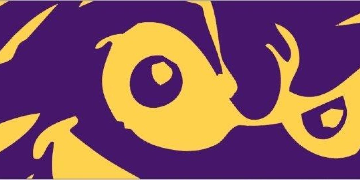 Southern JR/SR High banner