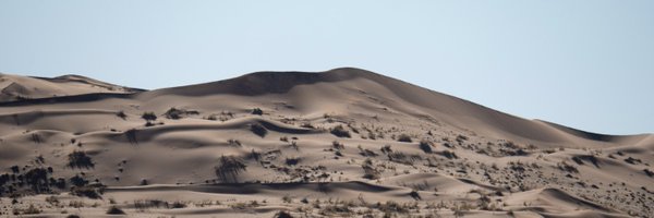 PamphileRoy Profile Banner