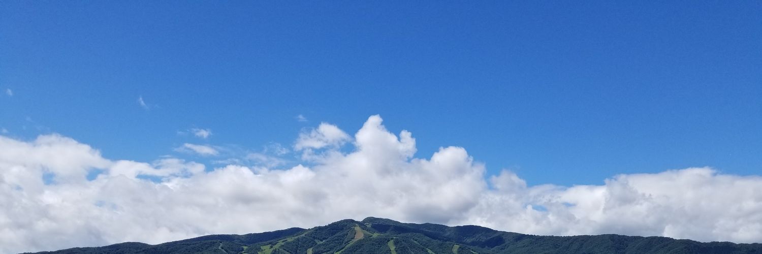 usugaeru's profile banner image