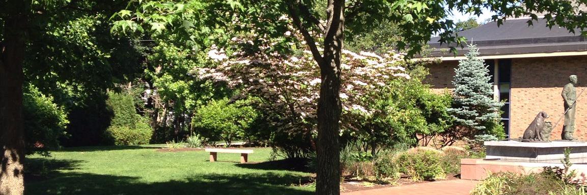 Warwick Public Library banner