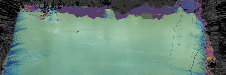oleoricardo banner