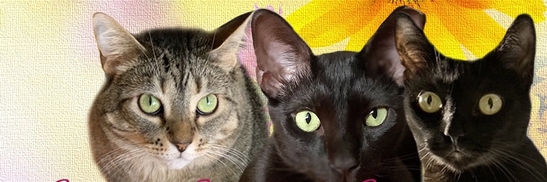 🌈Smokey8🌈 ft Peekaboo, Onyx, Pumbita banner