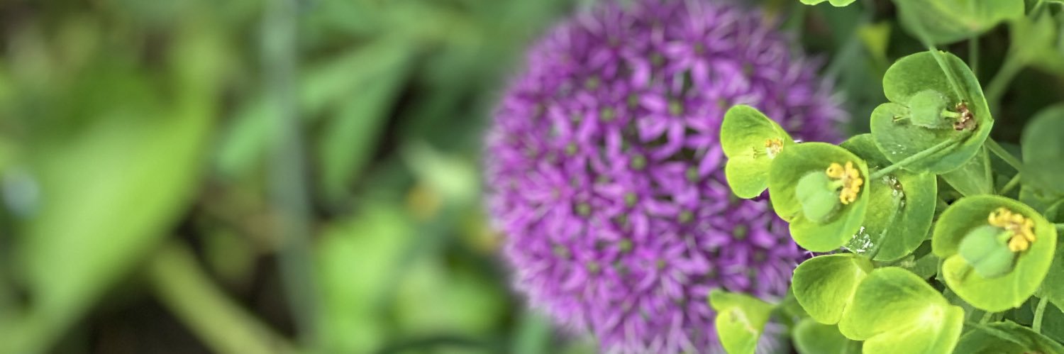 BarinderRasode's profile banner image