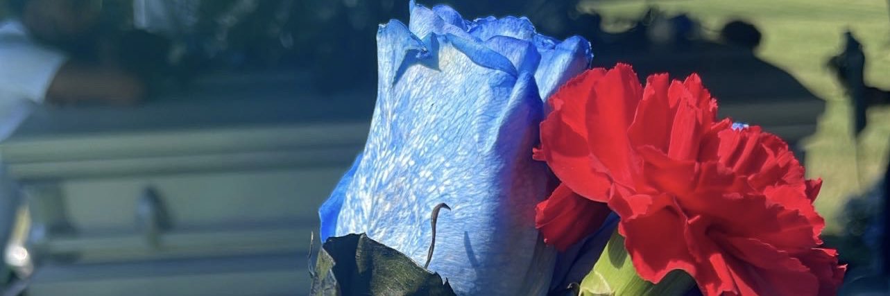 vvsdia_'s profile banner image