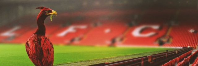Yoxon9's profile banner image